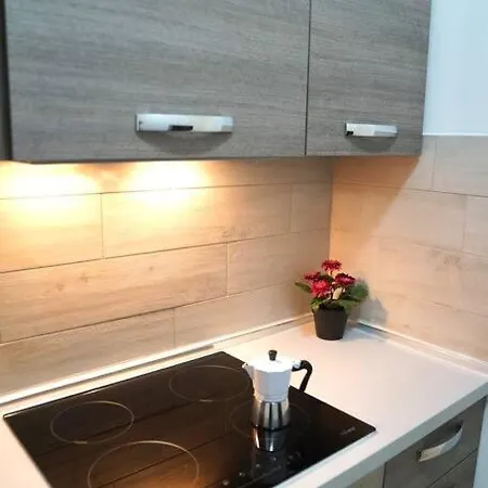 Camilluccia Loft 아파트 *
